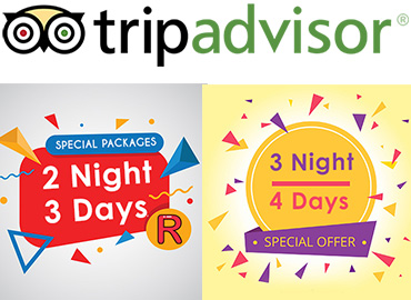 review-us-on-tripadvisor